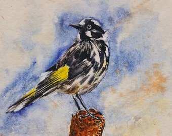 Honeyeater & Banksia Art Print