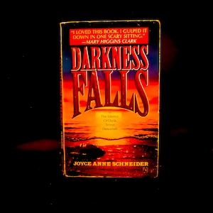 Joyce Anne Schneider / Darkness Falls / Vintage Paperback Book / 1991, Pocket Books / Mystery, Suspense Fiction
