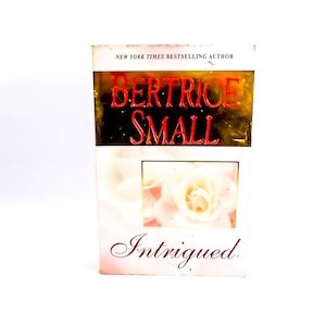Intrigued by Bertrice Small: Vintage Historical Romance Paperback
