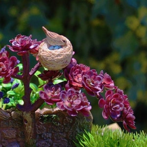 Mini Bird Nest, Fairy Garden Birds, Miniature Birds, Resin Bird Nest, Fairy Accessories, Craft Supplies, Terrarium, miniature eggs