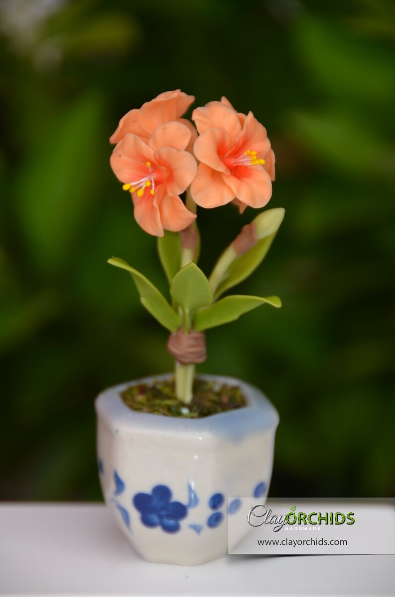 Handmade Dollhouse Miniature Plant with White Orchid Flower Home Decor