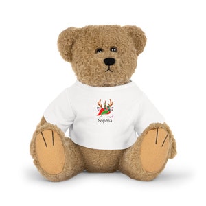Aangepaste knuffel dier cadeau, baby douche cadeau, pasgeboren cadeau, gepersonaliseerde eerste verjaardag cadeau, gepersonaliseerde teddybeer speelgoed, baby douche geschenken