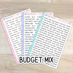 Budget Mix - Mini Script Planner Stickers [ MS-900 ]