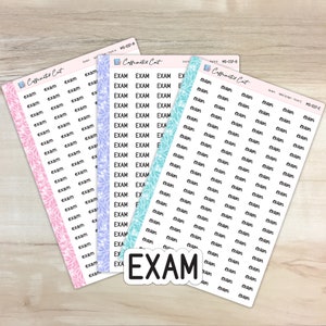 Exam - Mini Script Planner Stickers [ MS-037 ]