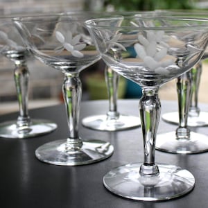 6 ETCHED FLOWER CHAMPAGNE 1950 Coupe Vintage Stemware Glasses Design Bar Liquor Wine Crystal Sorbet Sherbet Glasses Daisy Cocktail Dessert