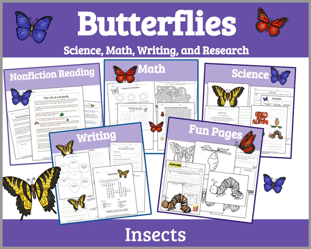 Butterfly Printable Life Cycle of a Butterfly Printable Life