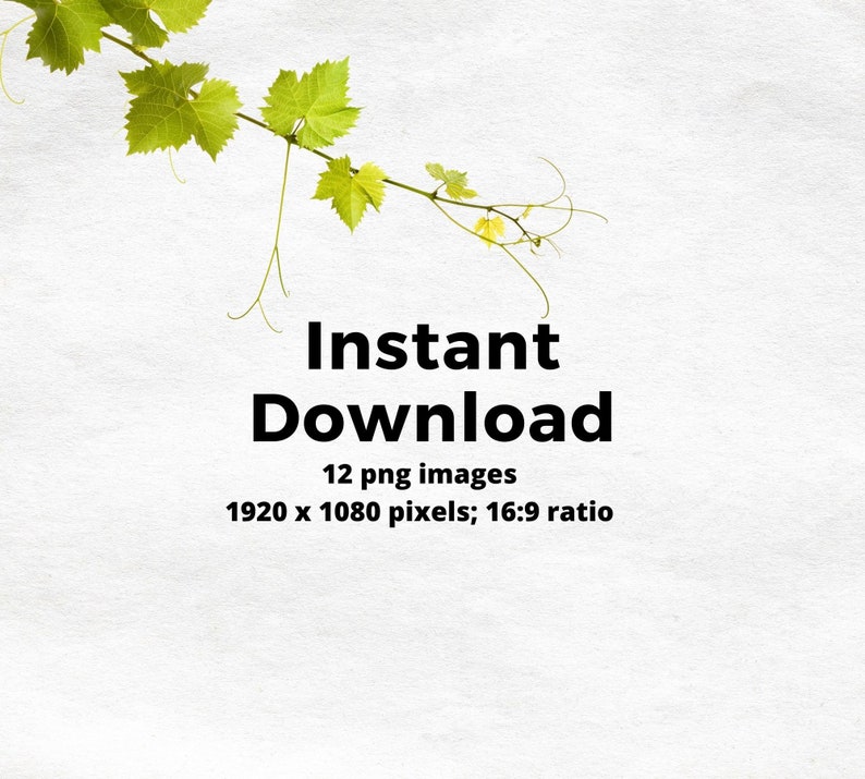 Zoom Backgrounds for Teachers, Teacher Zoom Backgrounds, Virtual