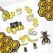 Life Cycle of a Bee- Insect Worksheet - Honeybee Printable - Science ...