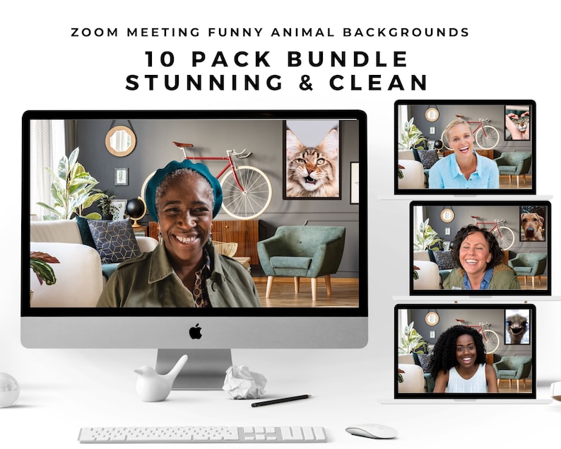 Zoom Cat Png, Zoom Virtual Background Image, Zoom Meeting Background