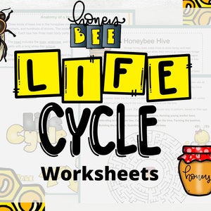 Life Cycle of a Bee- Insect Worksheet - Honeybee Printable - Science for Kids -Mini-Lessons -  pdf Download
