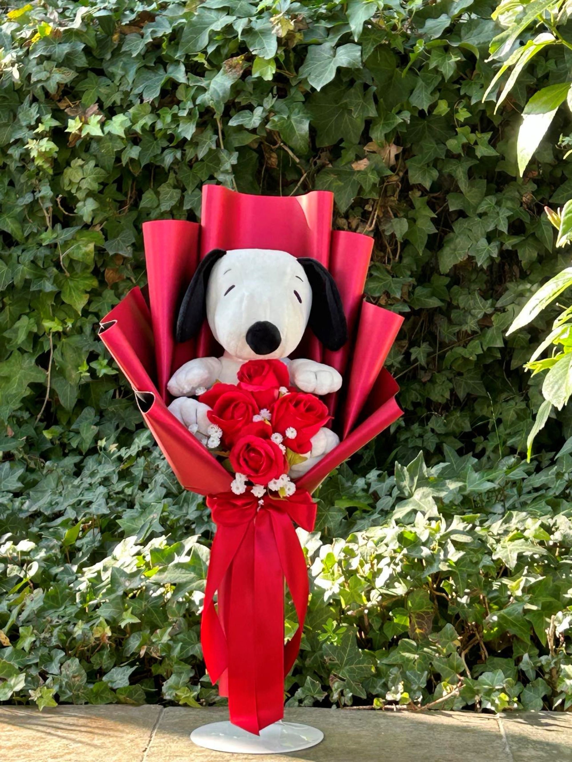 Woodstock Peanuts Peanuts Valentine's Gift: Snoopy And Woodstock