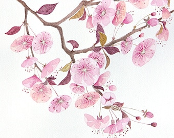 Cherry Blossoms Art Cherry Tree Flower Illustration Sakura flowers Watercolor Painting Giclee Print Living room Pink Wall Decor Wall Art