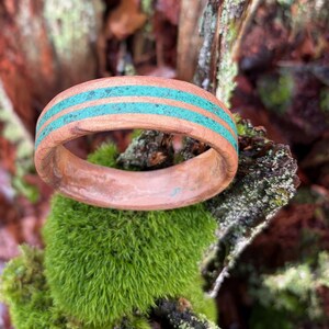 May include: A wooden ring with two turquoise inlays. The ring is a warm brown color and sits on a bed of green moss. The turquoise inlays are a bright, contrasting color.