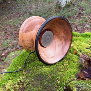 Peut inclure: Un haut-parleur en bois avec un design en forme de pavillon évasé, avec un bord noir et une grille de haut-parleur circulaire. Le haut-parleur est en bois brun clair et repose sur un lit de mousse verte. Un fil noir s'étend du haut-parleur.