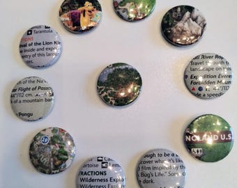 Set of 11 Disney Theme Park Button Pins - Animal Kingdom