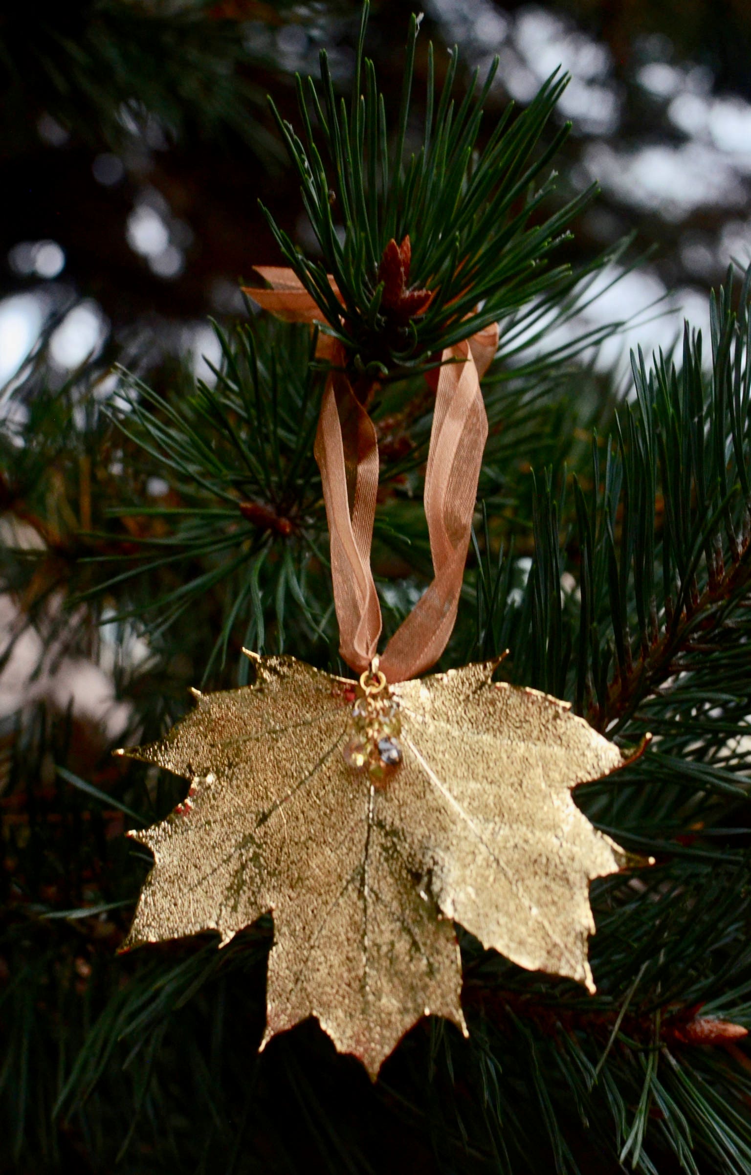 Copper Layered Real Sugar Maple Leaf Christmas Ornament Still Life