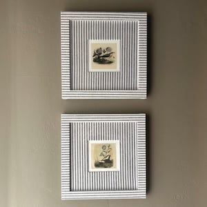 Vintage Bird Illustration, Linen Fabric Wrapped Frame Set (8x8)