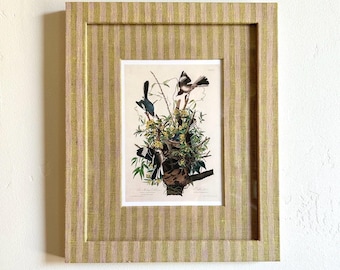 Fabric wrapped 8x10 frame with vintage Mocking Bird and Rattle Snake print , green stripe upholstered framed bird print