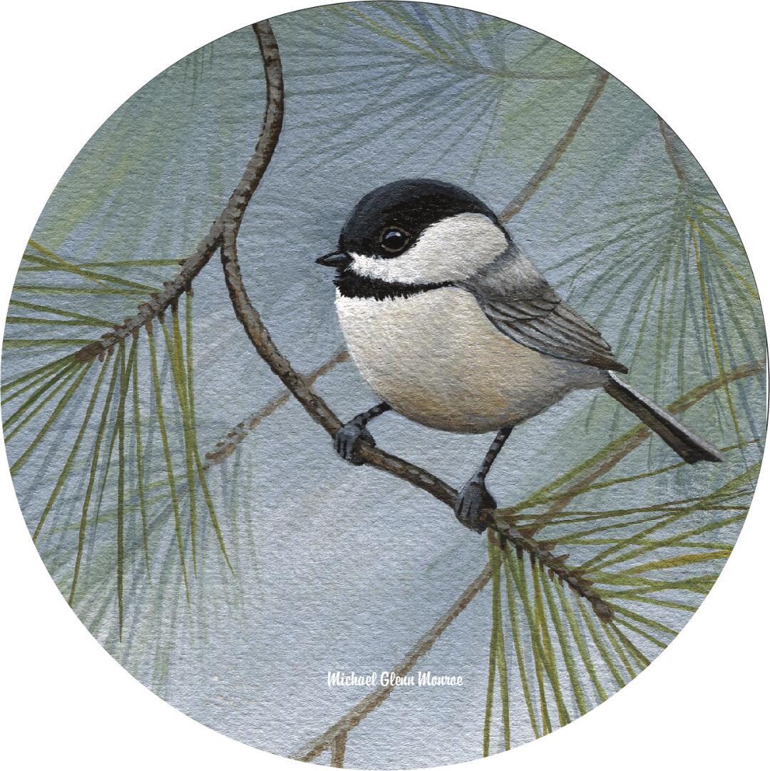 Chickadee Bird Sticker - Etsy