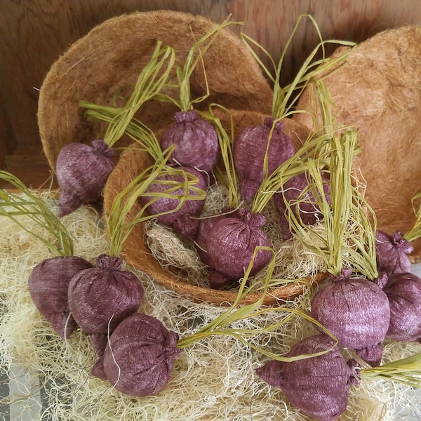 Beet catnip toy.