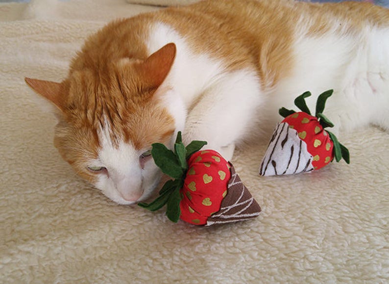 Two strawberry catnip toys. image 3