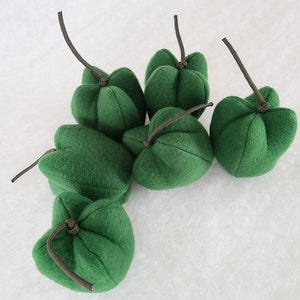 DRK GREEN Bell Pepper catnip toys. image 5