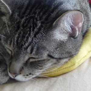 Banana catnip toys. image 6