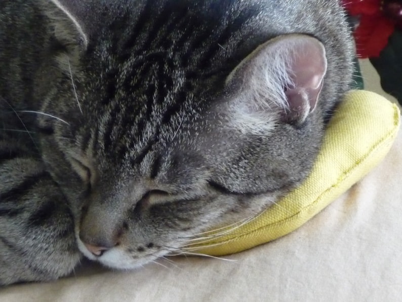 Banana catnip toys. image 6