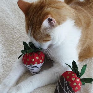 Two strawberry catnip toys. image 4