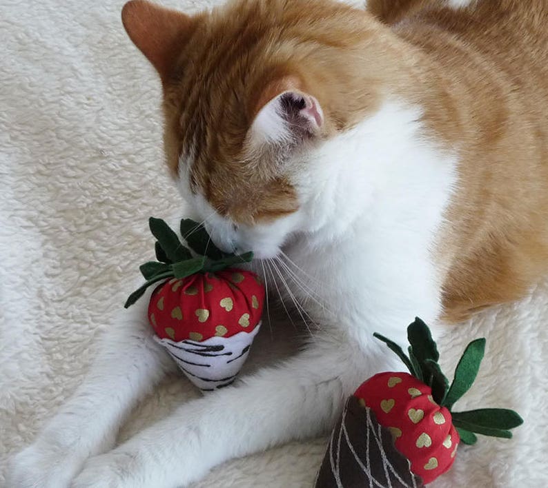 Two strawberry catnip toys. image 4