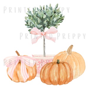 Peut inclure: Trois citrouilles avec des rubans roses, l'une dans un pot à motifs roses et blancs avec un petit arbre vert en forme de boule avec un ruban rose.
