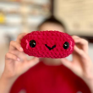 Large Plush Red Blood Cell, Erythrocyte Plush Toy, Cute Crochet Red Blood Cell, Science Teacher Gift, Circulatory System, Phlebotomist