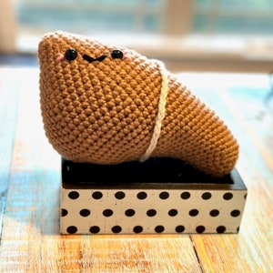 Crochet Plush Liver, Kawaii Anatomy Organ Toy, Science Teacher Gift, Med School Graduation Present, Funny Doctor Gift, Biology Nerd Decor