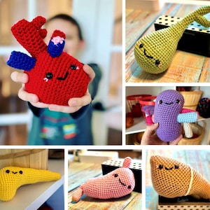 May include: A collection of crocheted anatomical models. The models include a red heart with blue and pink accents, a green liver, a purple kidney with a mushroom, a yellow pancreas, a pink stomach, and a tan liver.