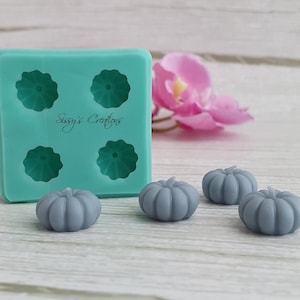 Op de afbeelding: Een turquoise siliconen mal met vier pompoenvormige holtes en de tekst "Sissy's Creations". Vier kleine, grijze pompoenen liggen naast de mal. Roze bloemen zijn op de achtergrond. De pompoenen hebben een diameter van ongeveer 4 cm.
