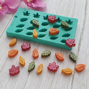 Può includere: Uno stampo in silicone turchese con varie forme di foglie, insieme a diverse decorazioni a forma di foglia colorate. Le foglie sono nelle tonalità di arancione, giallo, verde e rosa. Lo stampo è rettangolare.