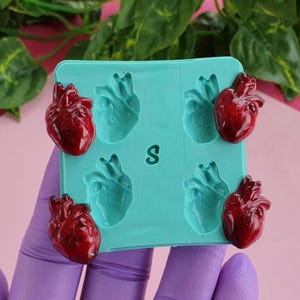 Stampo 4 pz Cuore Anatomico Realistico, 2 cm, per Resina Epossidica, Argilla, Cera, Gesso, Sapone...