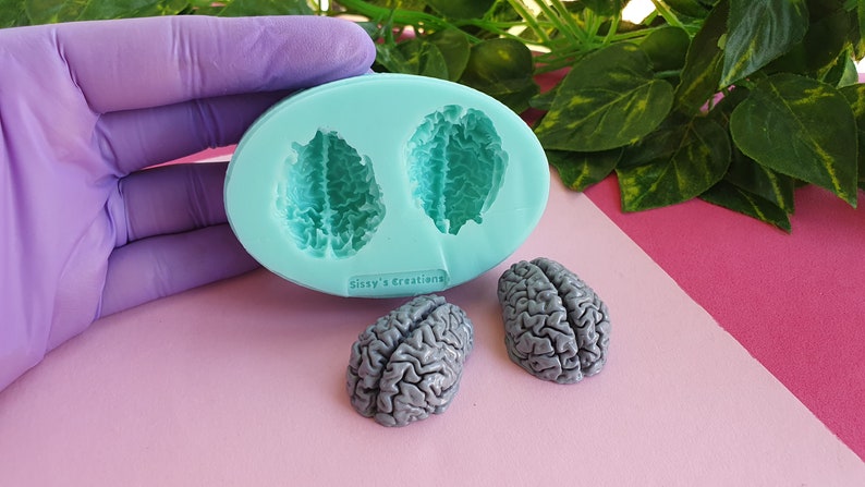 Realistic Brain Mold, 3 Cm, for Epoxy Resin, Polymer Clay. Wax, Soap ...