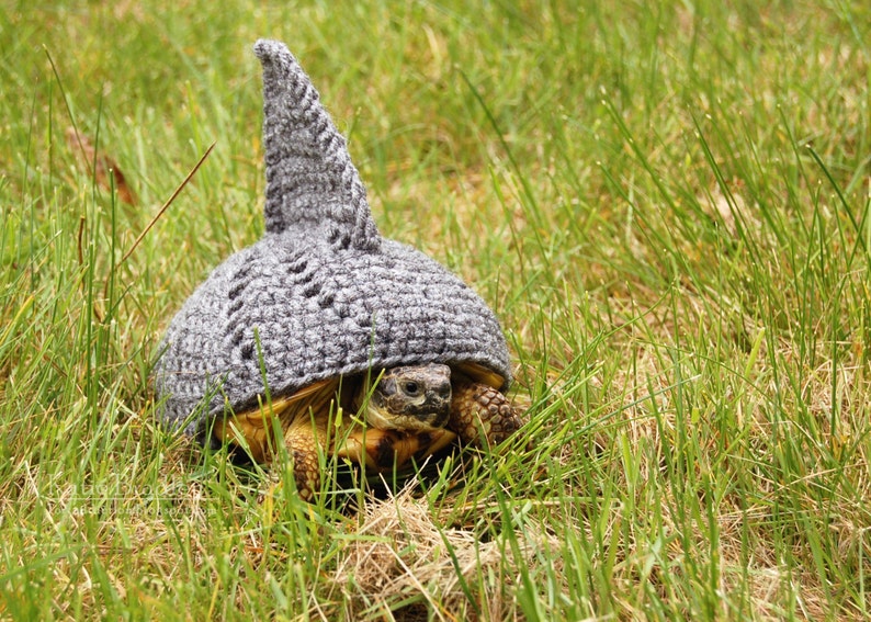 PATTERN for shark fin cozy for tortoises image 3