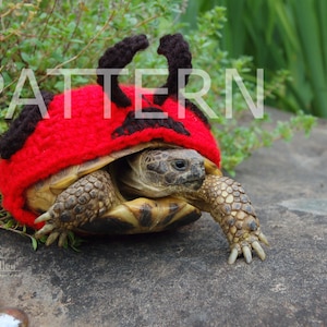 Puede incluir: Una pequeña tortuga con un disfraz de mariquita de ganchillo rojo y negro. La tortuga está sobre una roca gris con plantas verdes en el fondo.