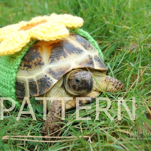 May include: A small tortoise wearing a crocheted yellow and green flower hat. The tortoise is sitting in a patch of green grass.