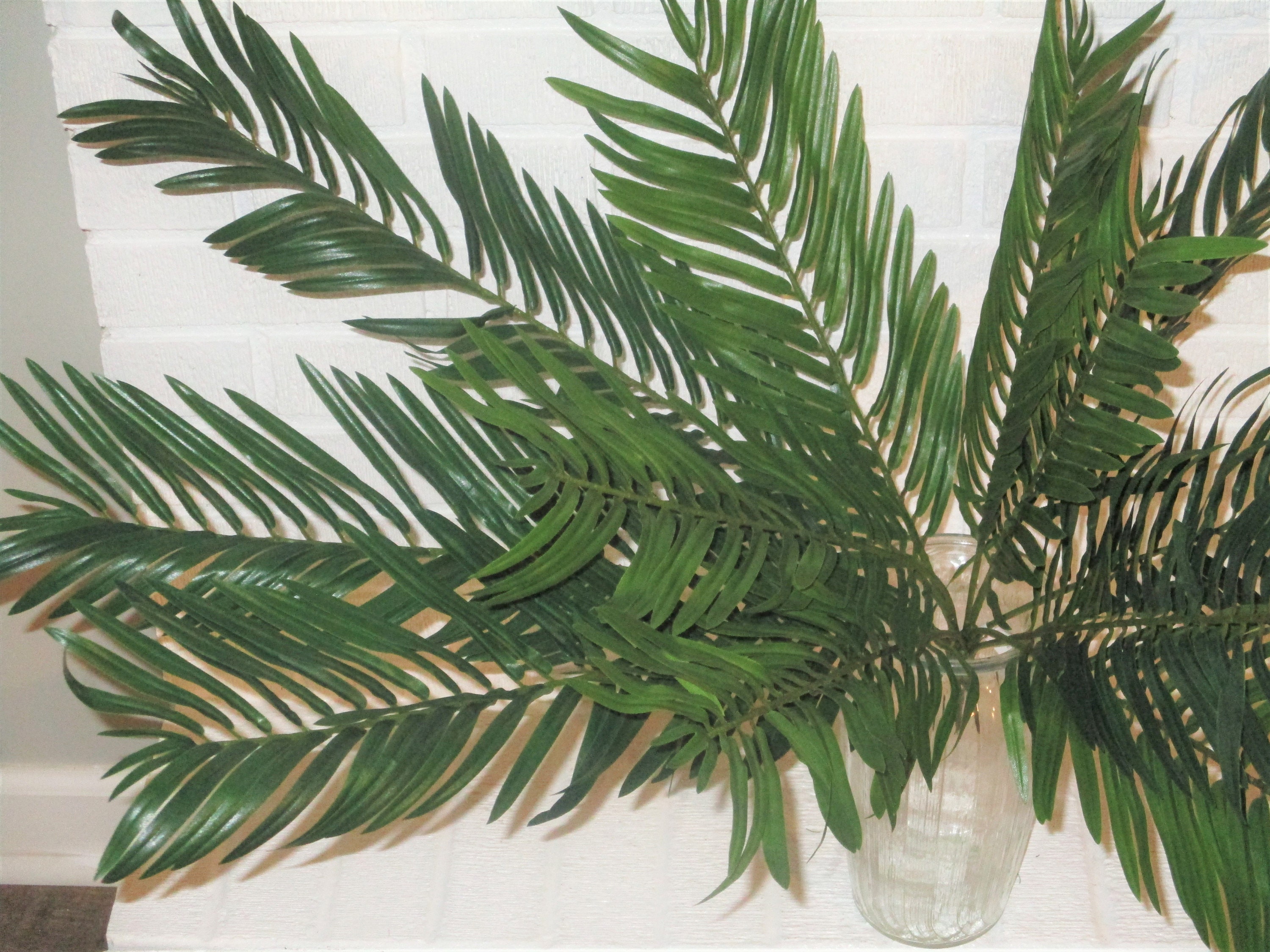26 Silk Palm Leaf Greenery Bush Artificial Palm Leaf Etsy