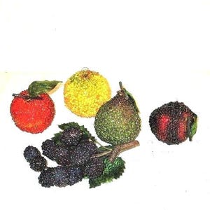 Beaded Fruit Ornament/ Bowl Filler, Set of 5, Floral Craft Supplies, Faux Fruit