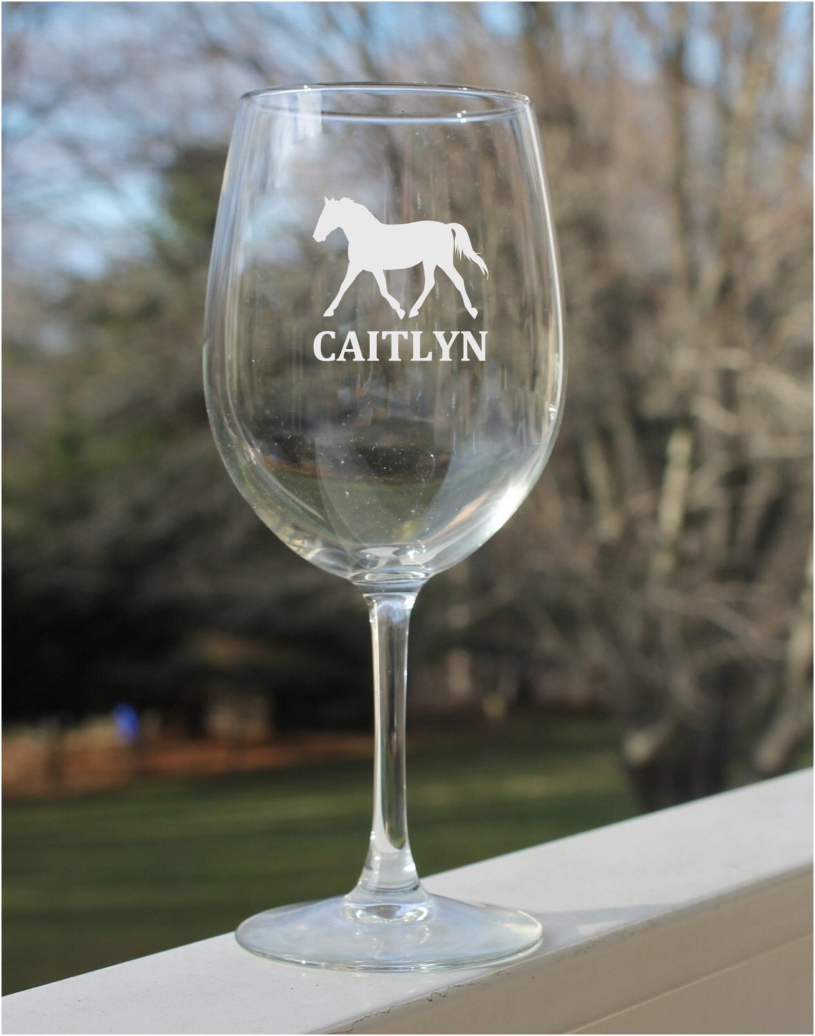 Etched Wine Glasses, Horse Wine Glass, Personalized Wine Glasses Etsy