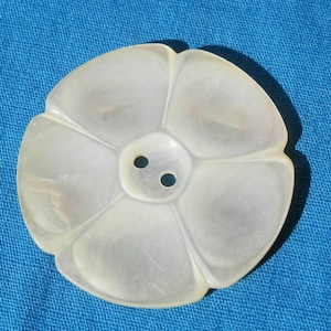 May include: A white, mother-of-pearl button shaped like a flower with five petals and two holes in the center.