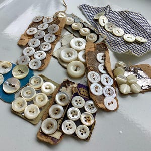 May include: A collection of vintage, off-white buttons in various sizes and styles. The buttons are arranged on their original cardboard packaging, some with fabric backing. The buttons have a pearlescent sheen and are likely made of shell.
