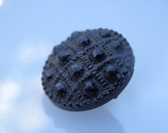 Black Glass Antique Button