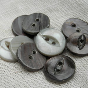 SET TEN Antique Smokey Shell Buttons Button Lot
