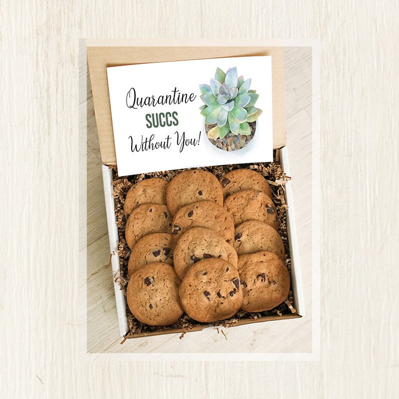 Quarantine Gift Cookie Sunshine Gift Box Thinking of You Etsy