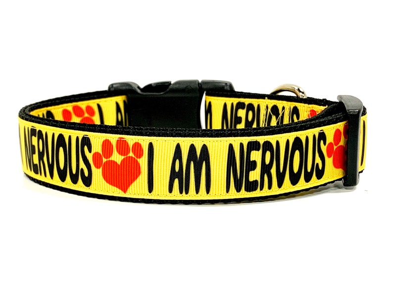 I AM NERVOUS Dog Collar or Leash Special Needs Dog Anxiety Etsy